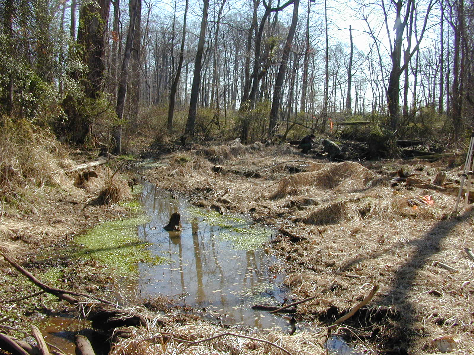 Field photo showing stream conditions at site MICR-110-R-2002-2