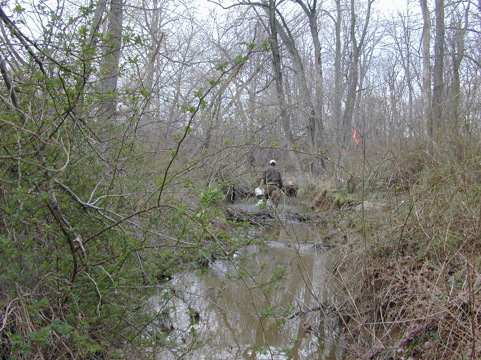 Field photo showing stream conditions at site MICR-110-R-2003-0963