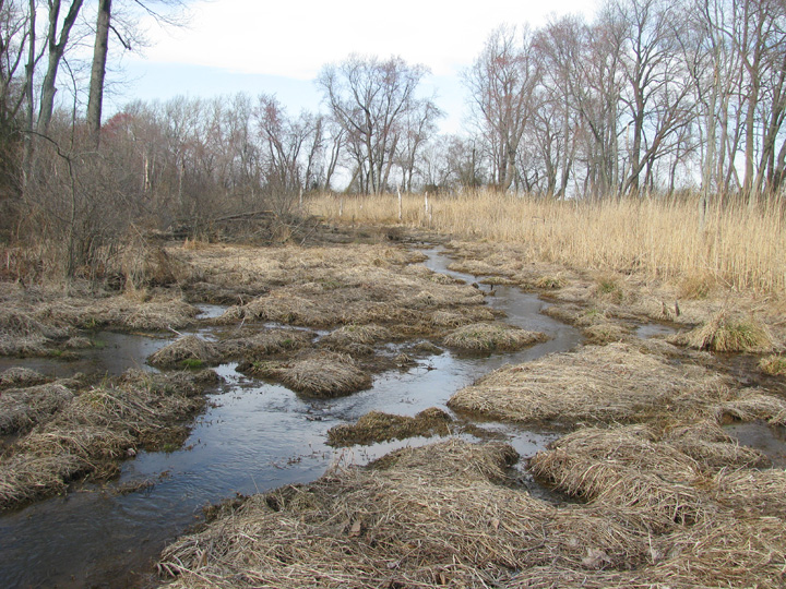 Field photo showing stream conditions at site MICR-110-R-2009-1