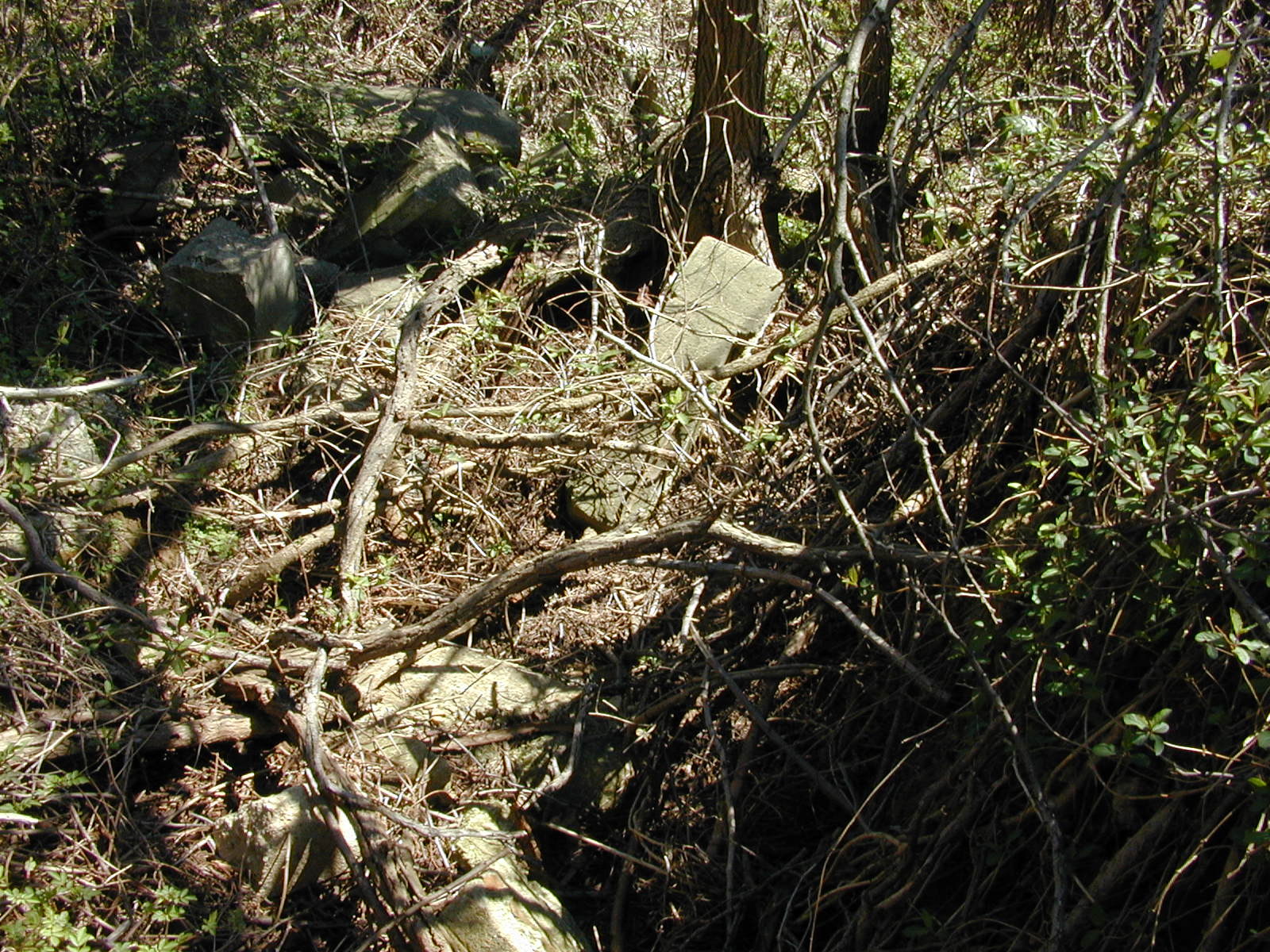 Field photo showing stream conditions at site MICR-112-R-2002-1