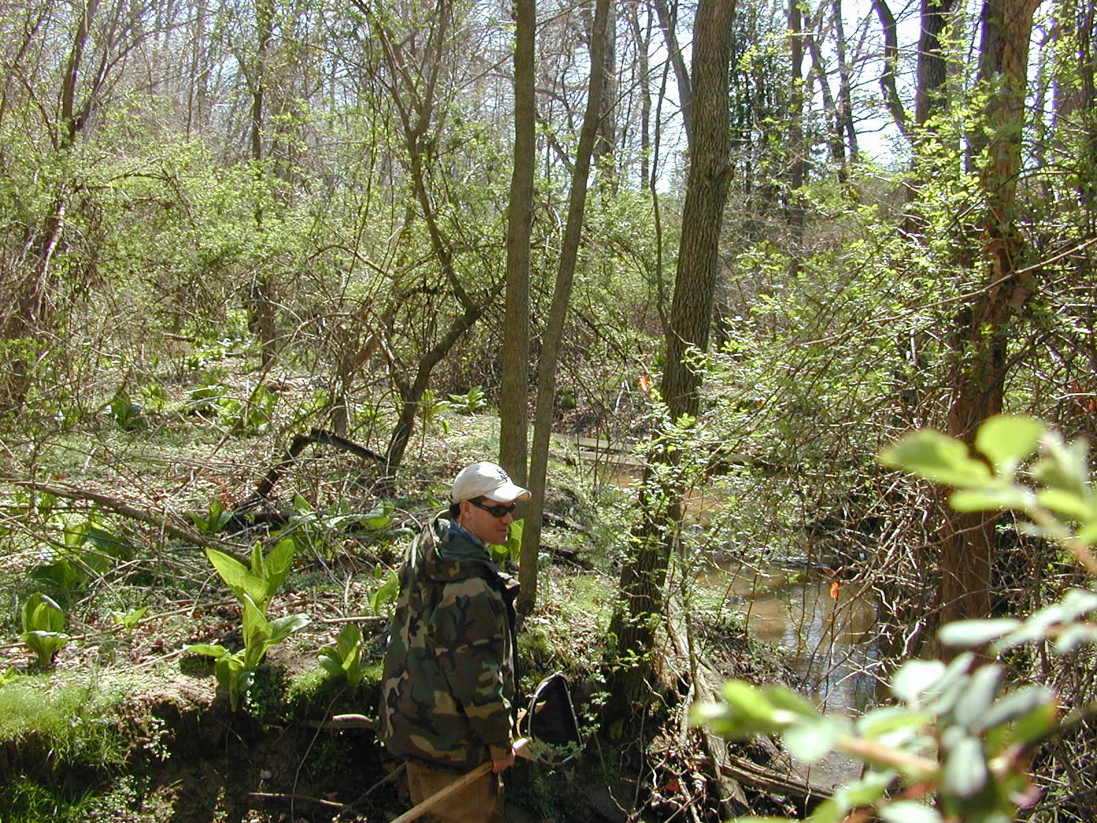 Field photo showing stream conditions at site MICR-113-R-2002-2