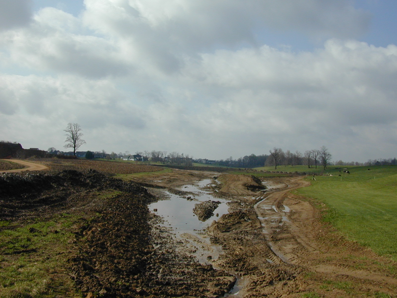 Field photo showing stream conditions at site MICR-114-R-2002-1