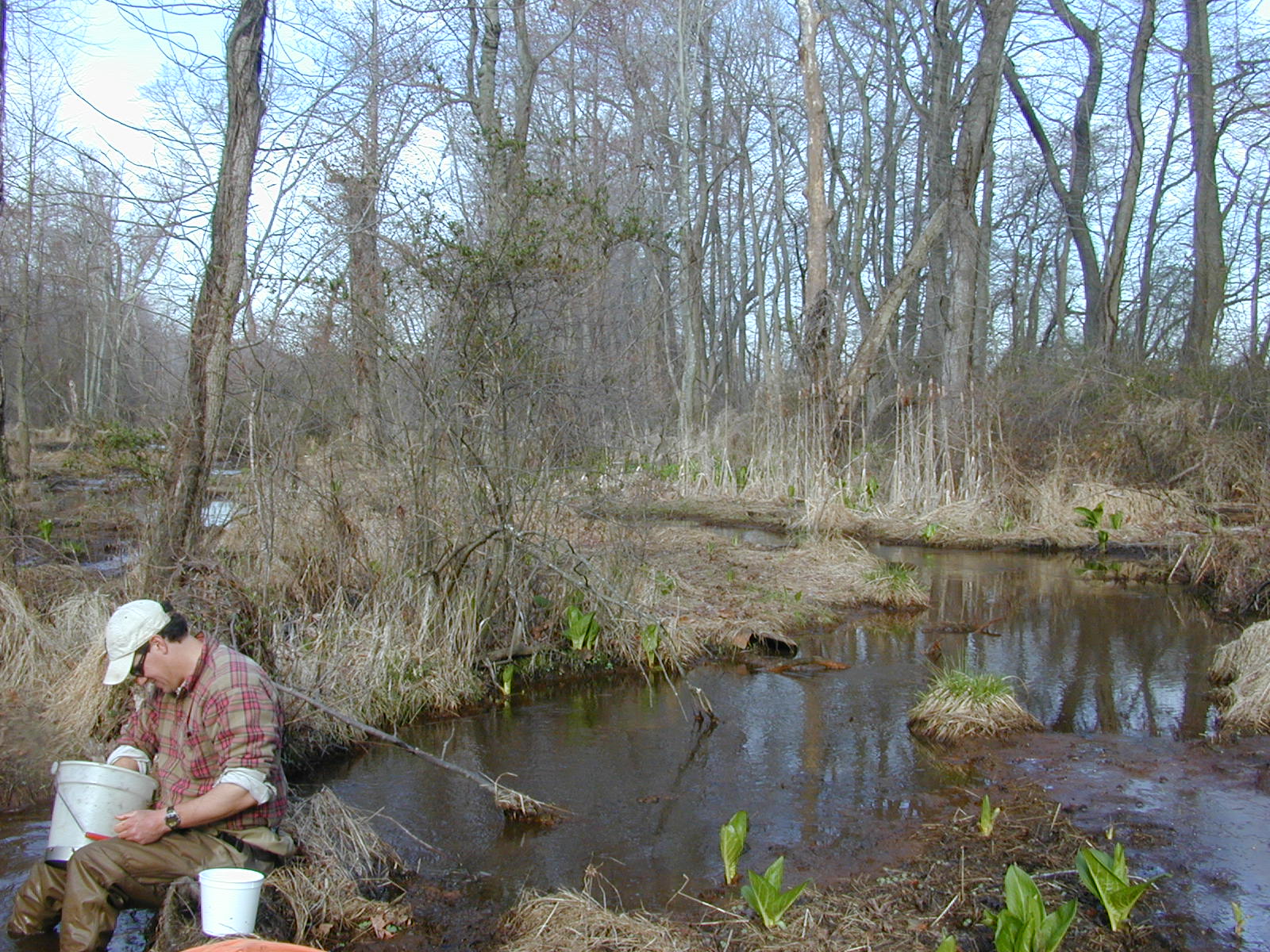 Field photo showing stream conditions at site MICR-116-R-2003-0970