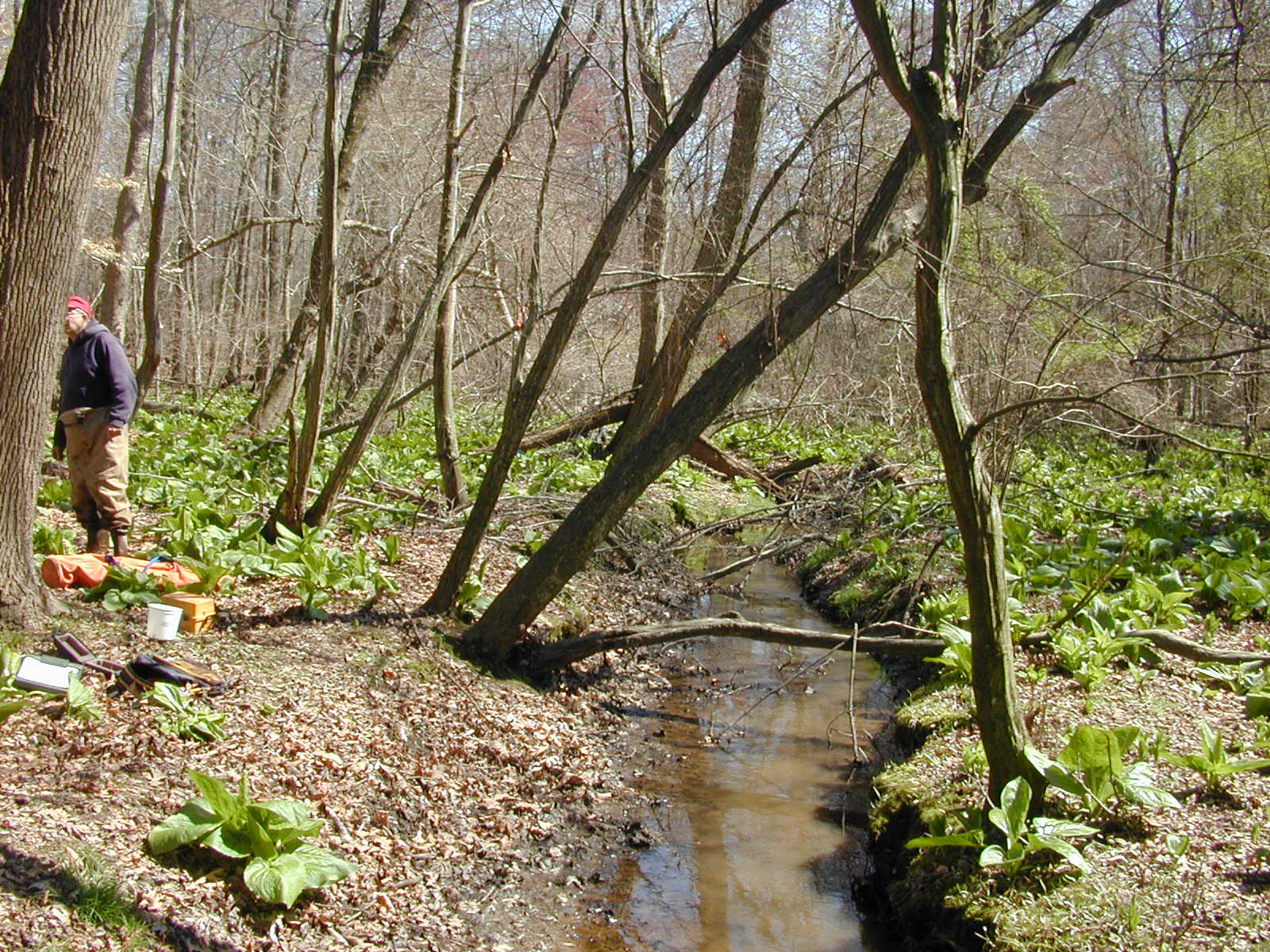 Field photo showing stream conditions at site MICR-118-R-2002-2