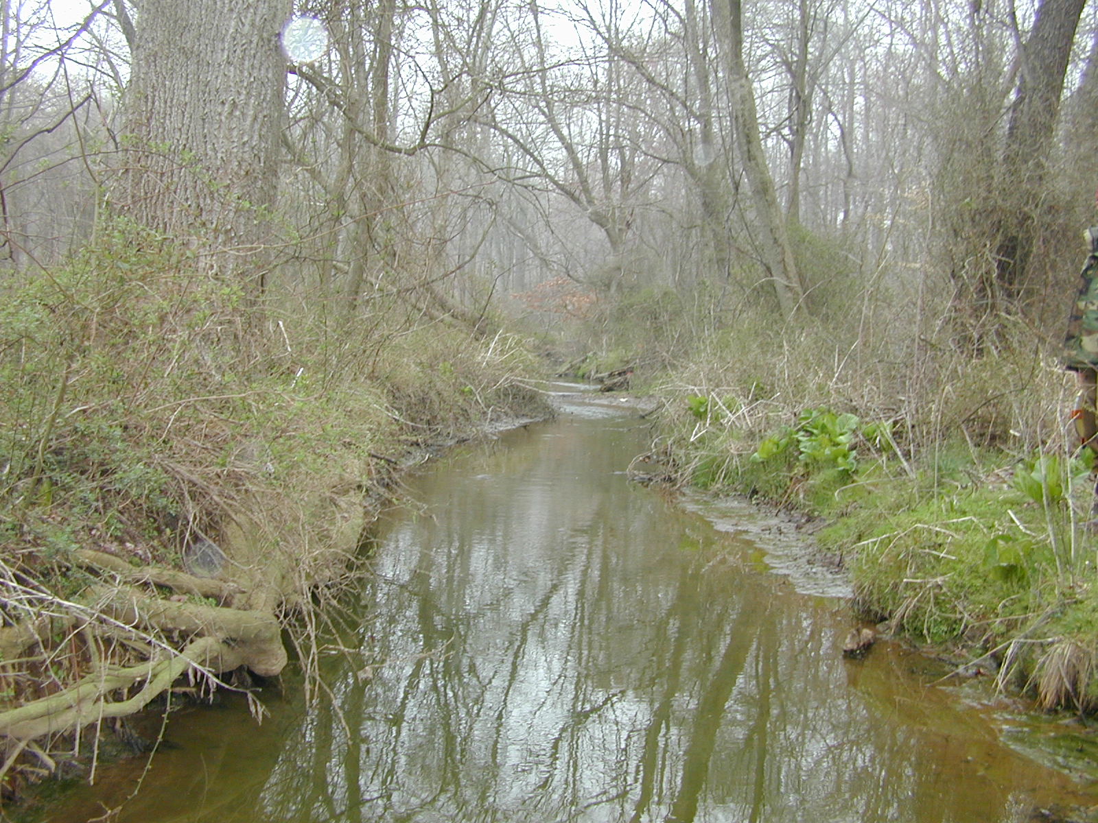 Field photo showing stream conditions at site MICR-202-R-2002-1