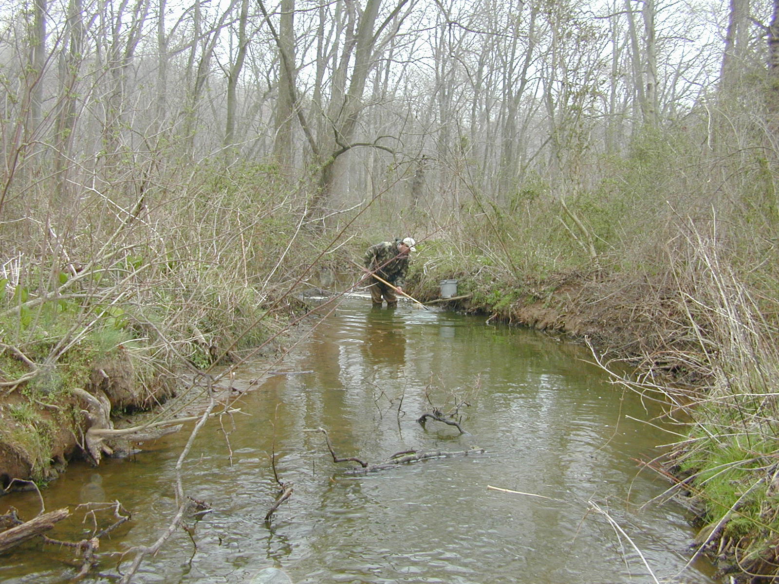 Field photo showing stream conditions at site MICR-202-R-2002-2