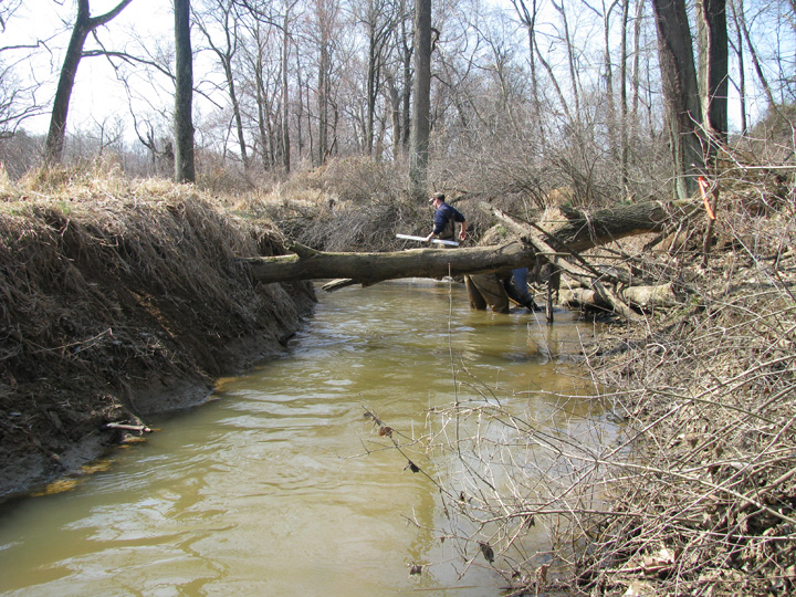 Field photo showing stream conditions at site MICR-202-R-2009-1