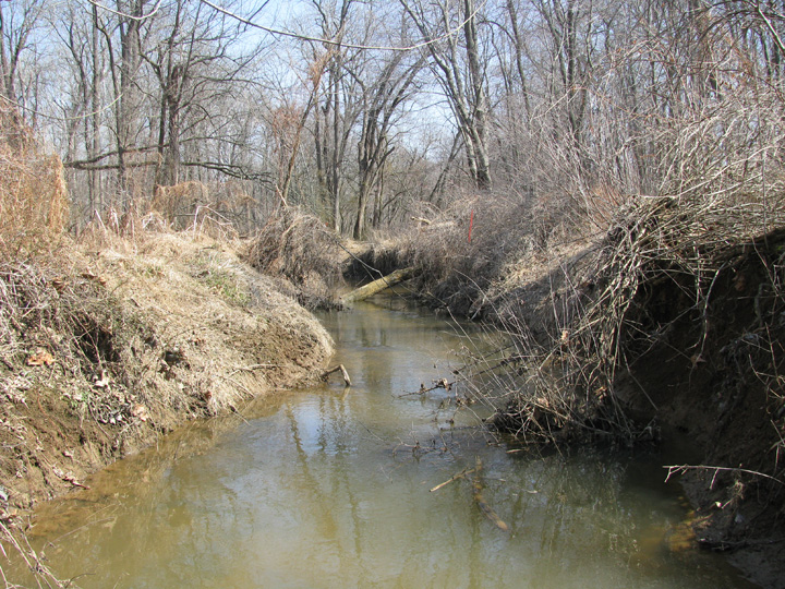 Field photo showing stream conditions at site MICR-202-R-2009-2