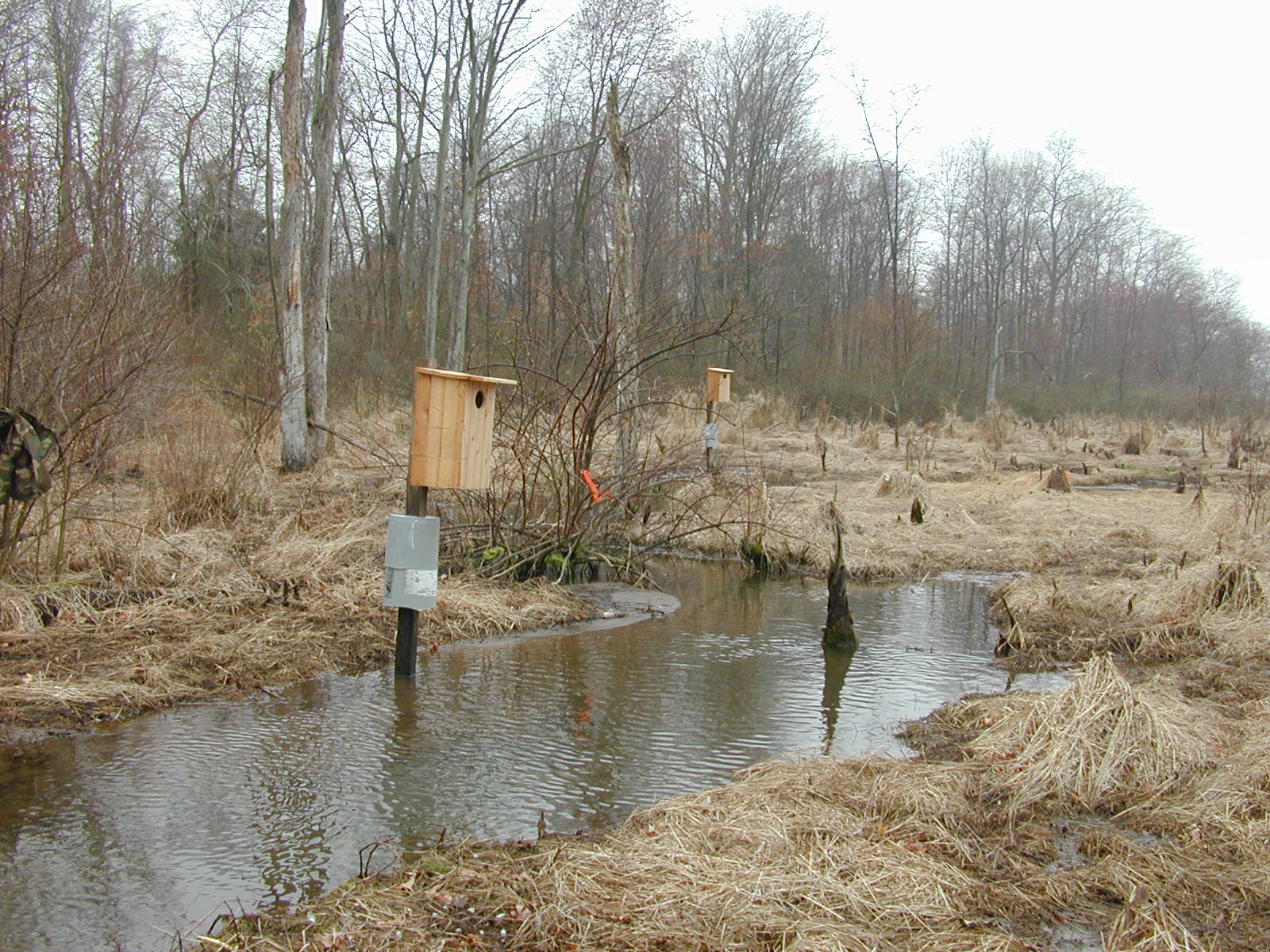 Field photo showing stream conditions at site MICR-207-R-2002-1