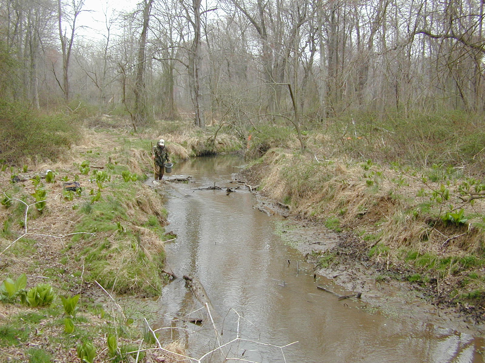 Field photo showing stream conditions at site MICR-208-R-2002-2