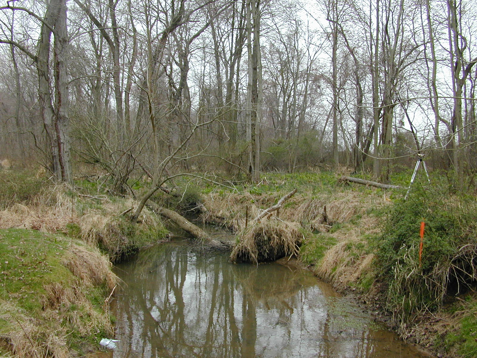 Field photo showing stream conditions at site MICR-208-R-2002-3