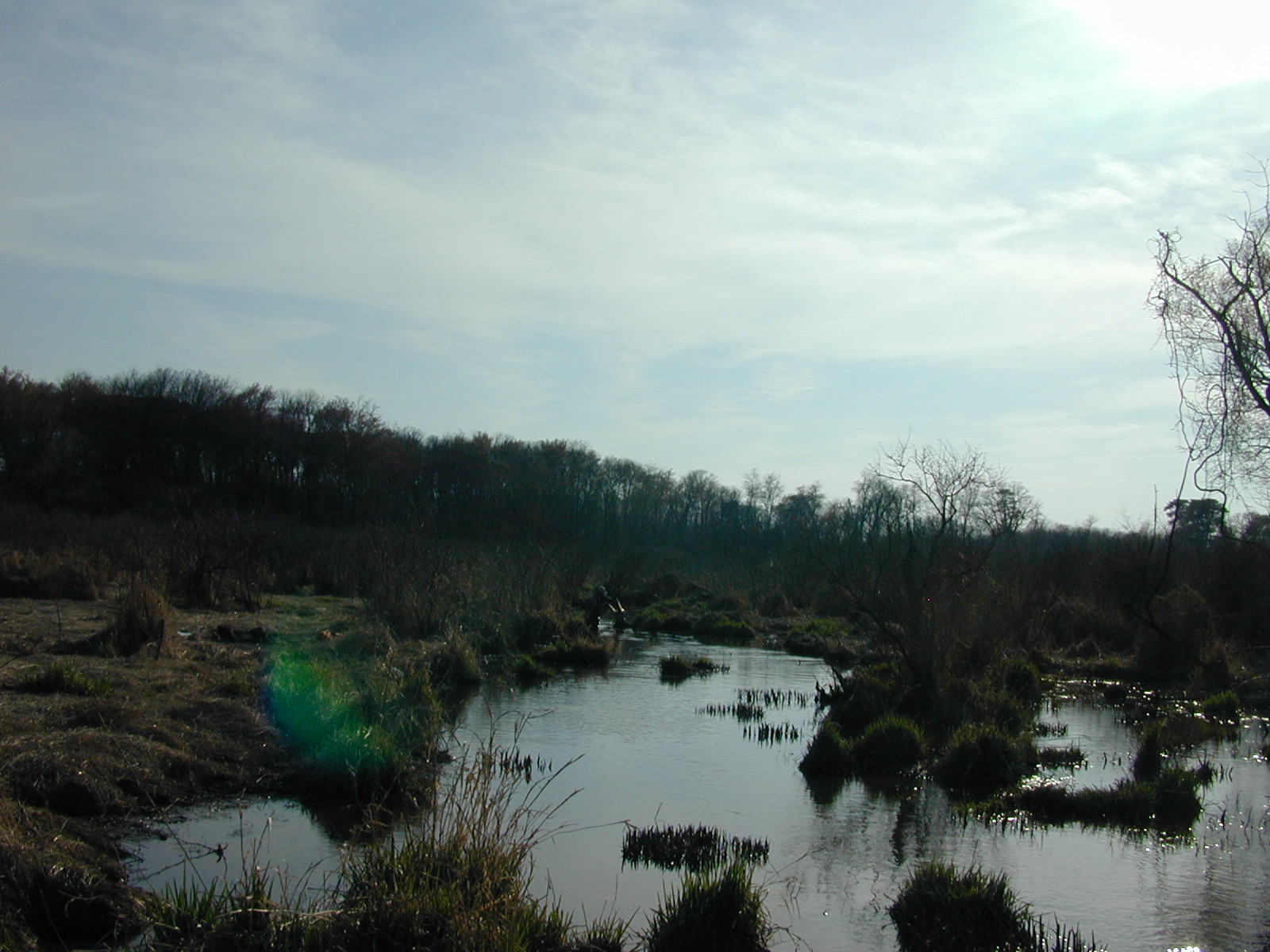 Field photo showing stream conditions at site MICR-215-R-2002-2