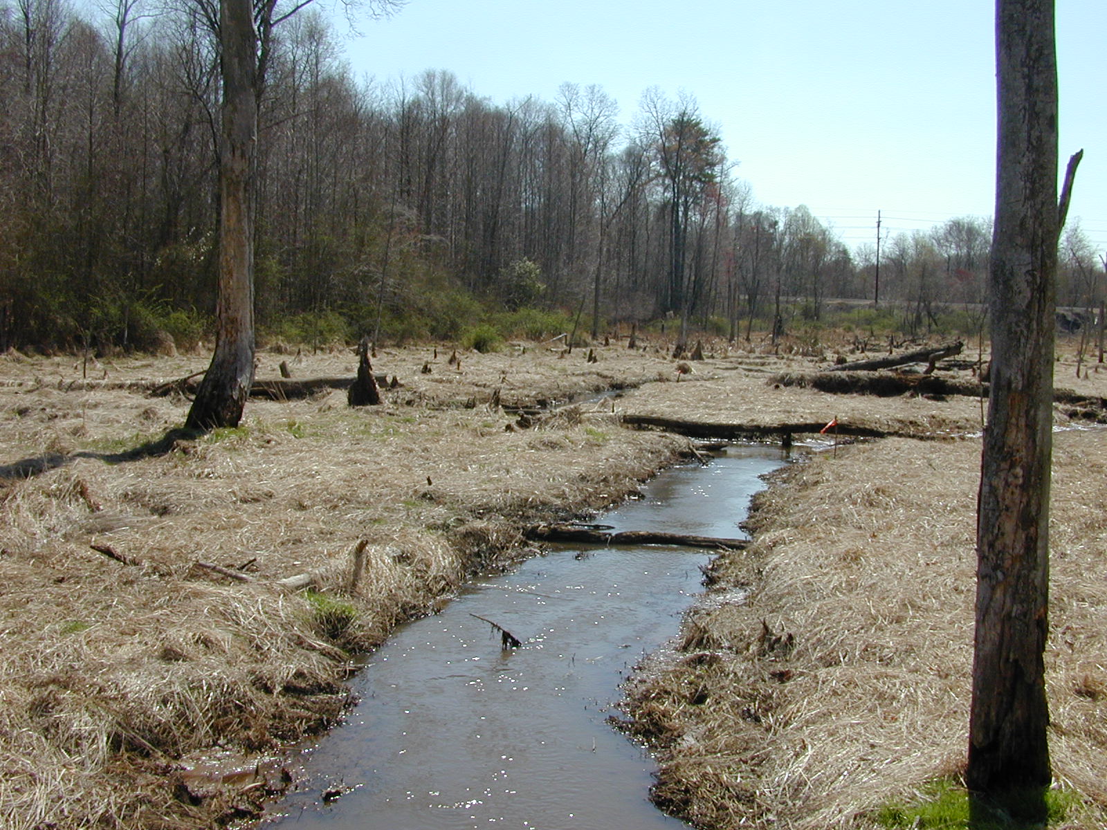 Field photo showing stream conditions at site MICR-216-R-2002-1