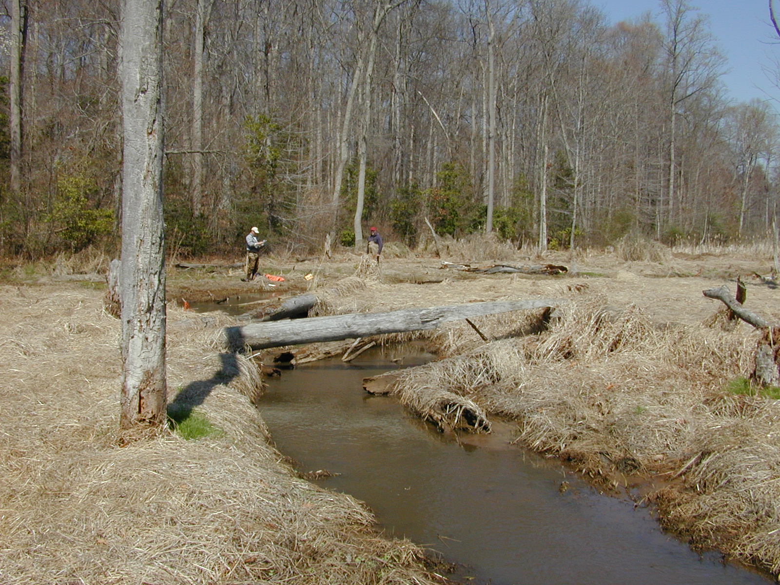 Field photo showing stream conditions at site MICR-216-R-2002-2