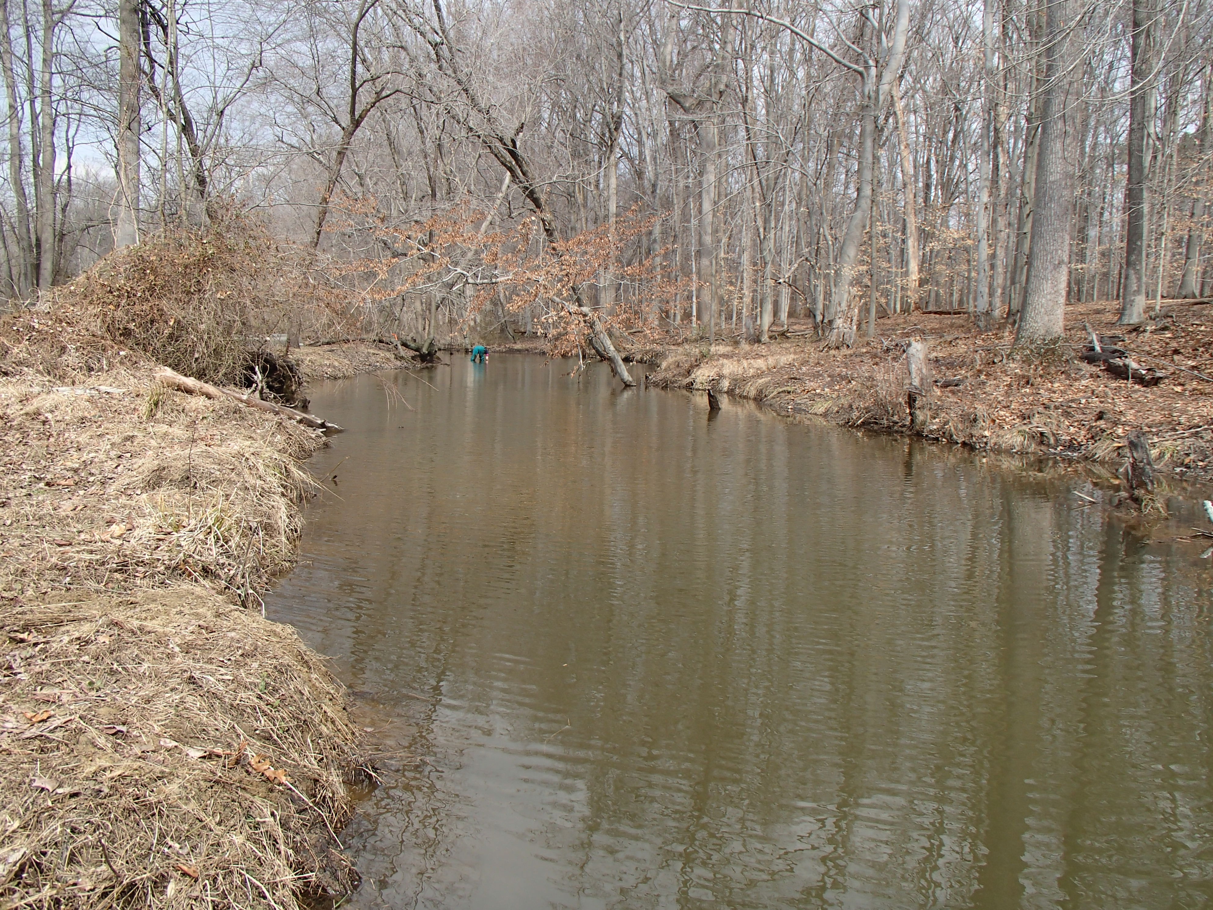 Field photo showing stream conditions at site MICR-216-R-2015_Midpoint-looking-upstream