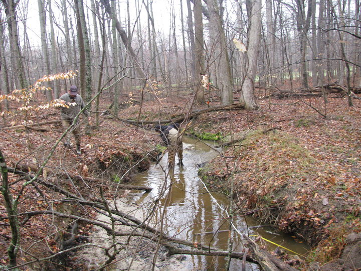 Field photo showing stream conditions at site MILE-104-B-2009-1