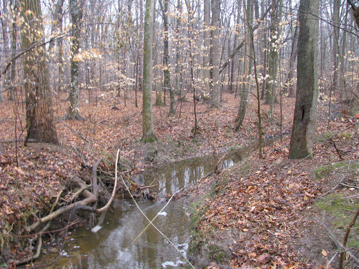 Field photo showing stream conditions at site MILE-104-B-2009-2