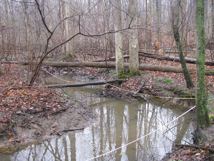 Field photo showing stream conditions at site MILE-105-B-2009-1