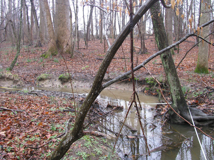 Field photo showing stream conditions at site MILE-105-B-2009-2