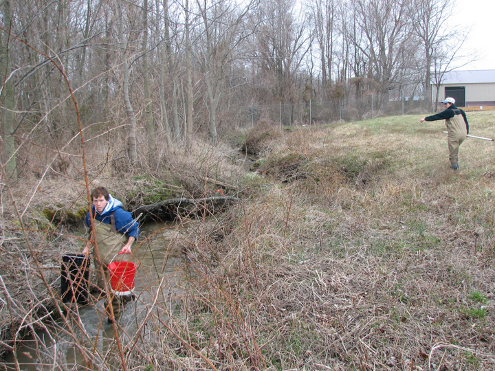 Field photo showing stream conditions at site MILE-106-R-2007-2