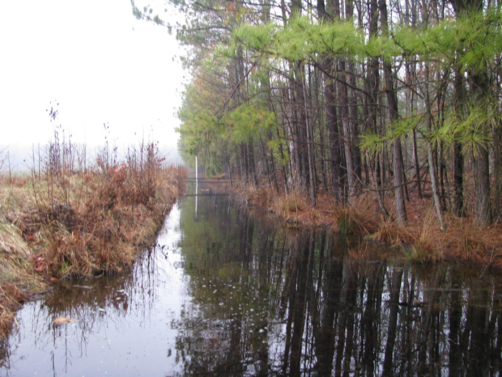 Field photo showing stream conditions at site MILE-111-B-2009-1