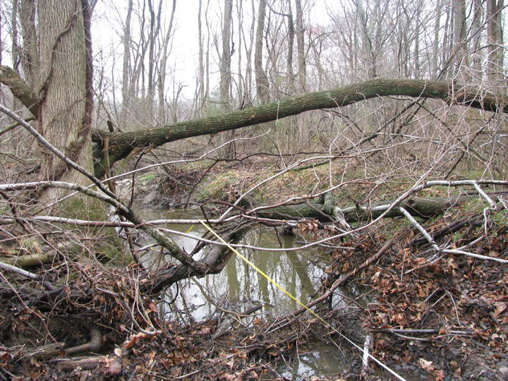 Field photo showing stream conditions at site MILE-201-B-2009-1