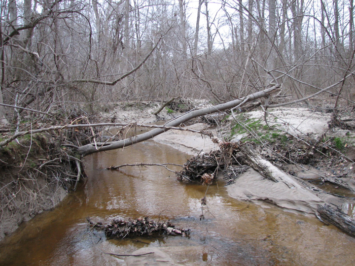 Field photo showing stream conditions at site MILE-204-R-2007-1