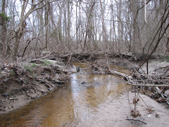 Field photo showing stream conditions at site MILE-204-R-2007-2