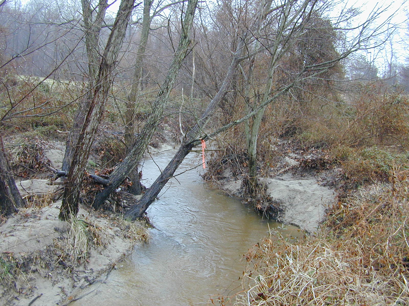 Field photo showing stream conditions at site MILE-212-R-2003-0904