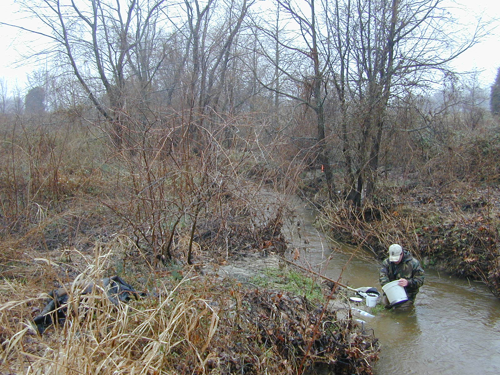Field photo showing stream conditions at site MILE-212-R-2003-0905