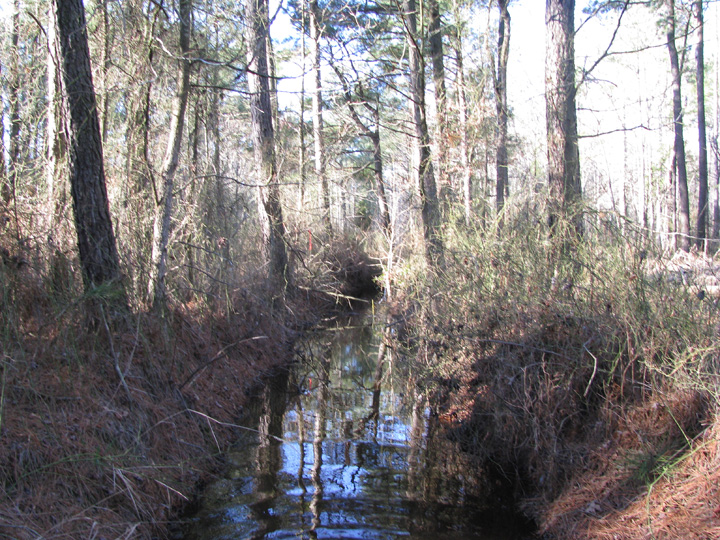 Field photo showing stream conditions at site MONI-110-R-2009-1