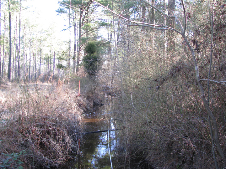 Field photo showing stream conditions at site MONI-110-R-2009-2
