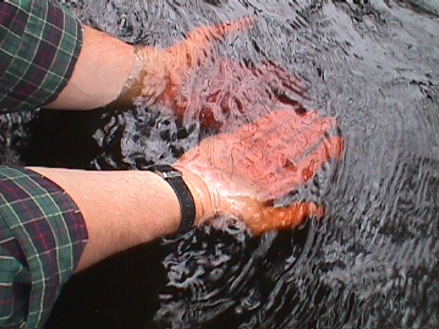 Field photo showing stream conditions at site MONI-126-R-2000-11_08