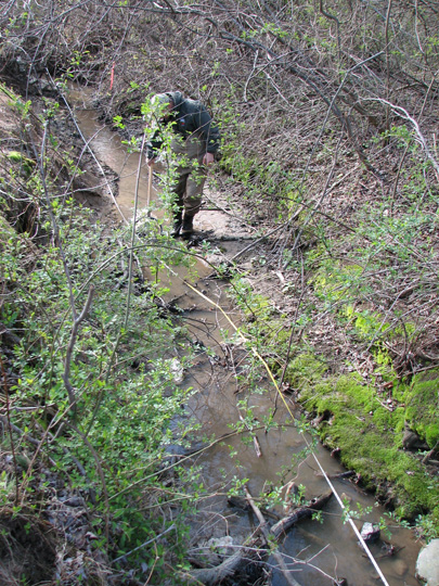 Field photo showing stream conditions at site MPAX-102-R-2007-1