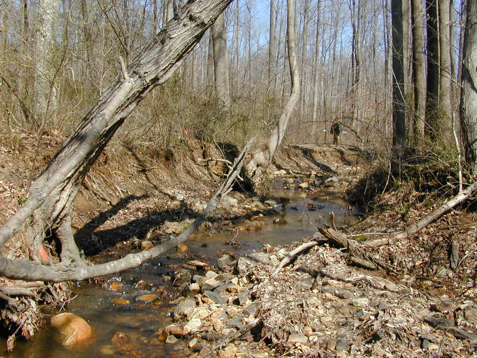 Field photo showing stream conditions at site MPAX-103-R-2002-1