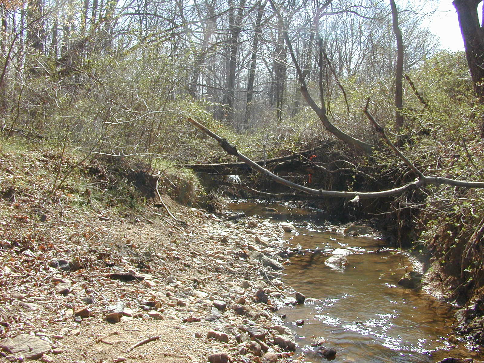 Field photo showing stream conditions at site MPAX-103-R-2002-2