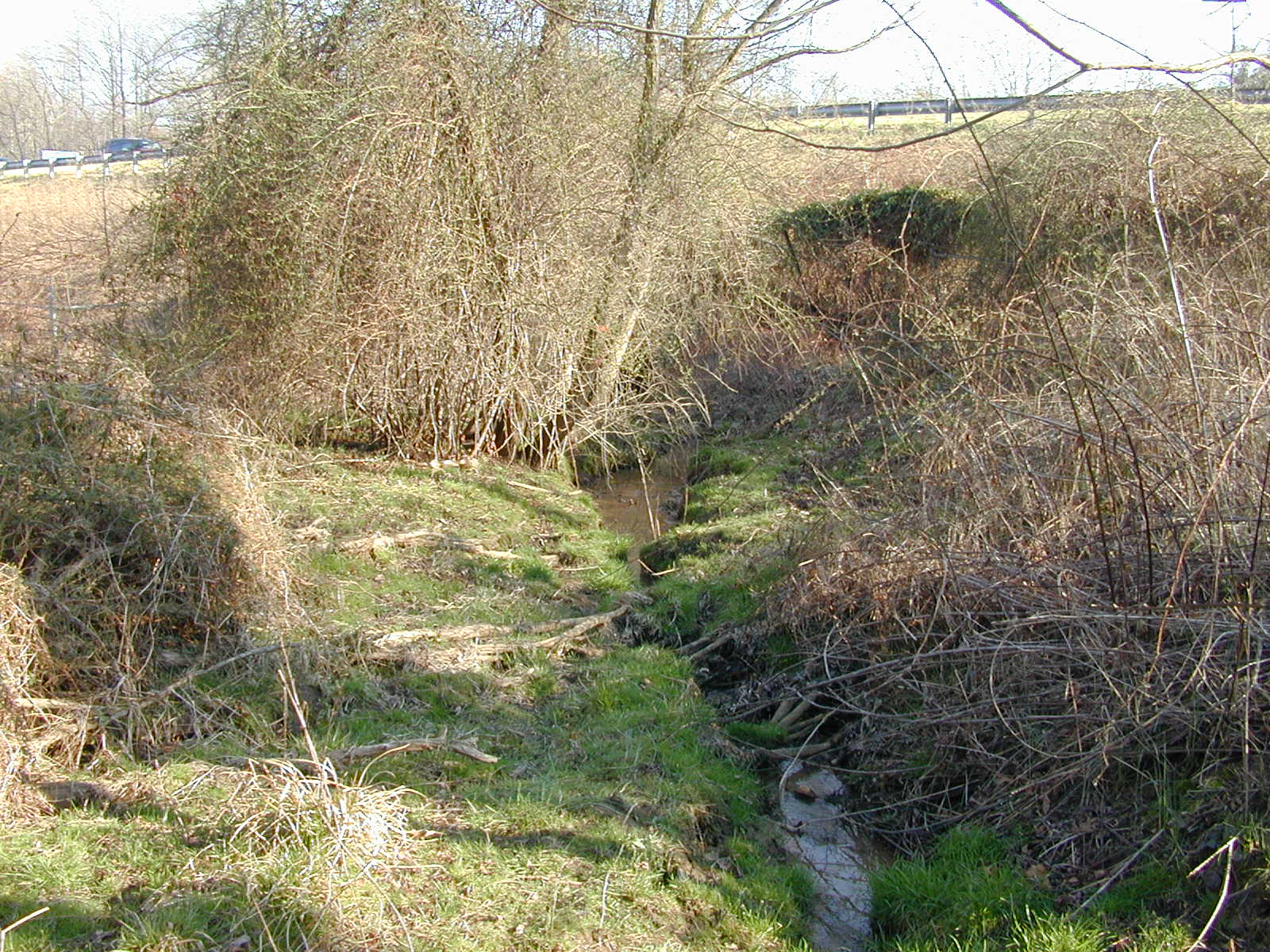 Field photo showing stream conditions at site MPAX-104-R-2002-1