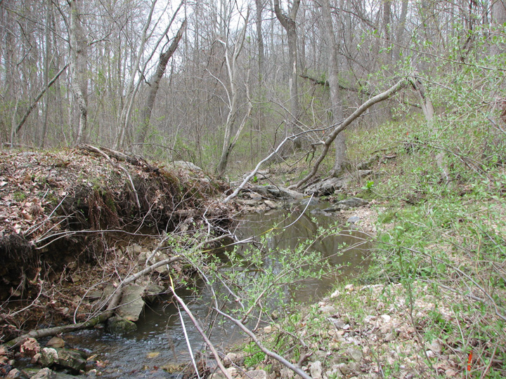 Field photo showing stream conditions at site MPAX-106-R-2007-1