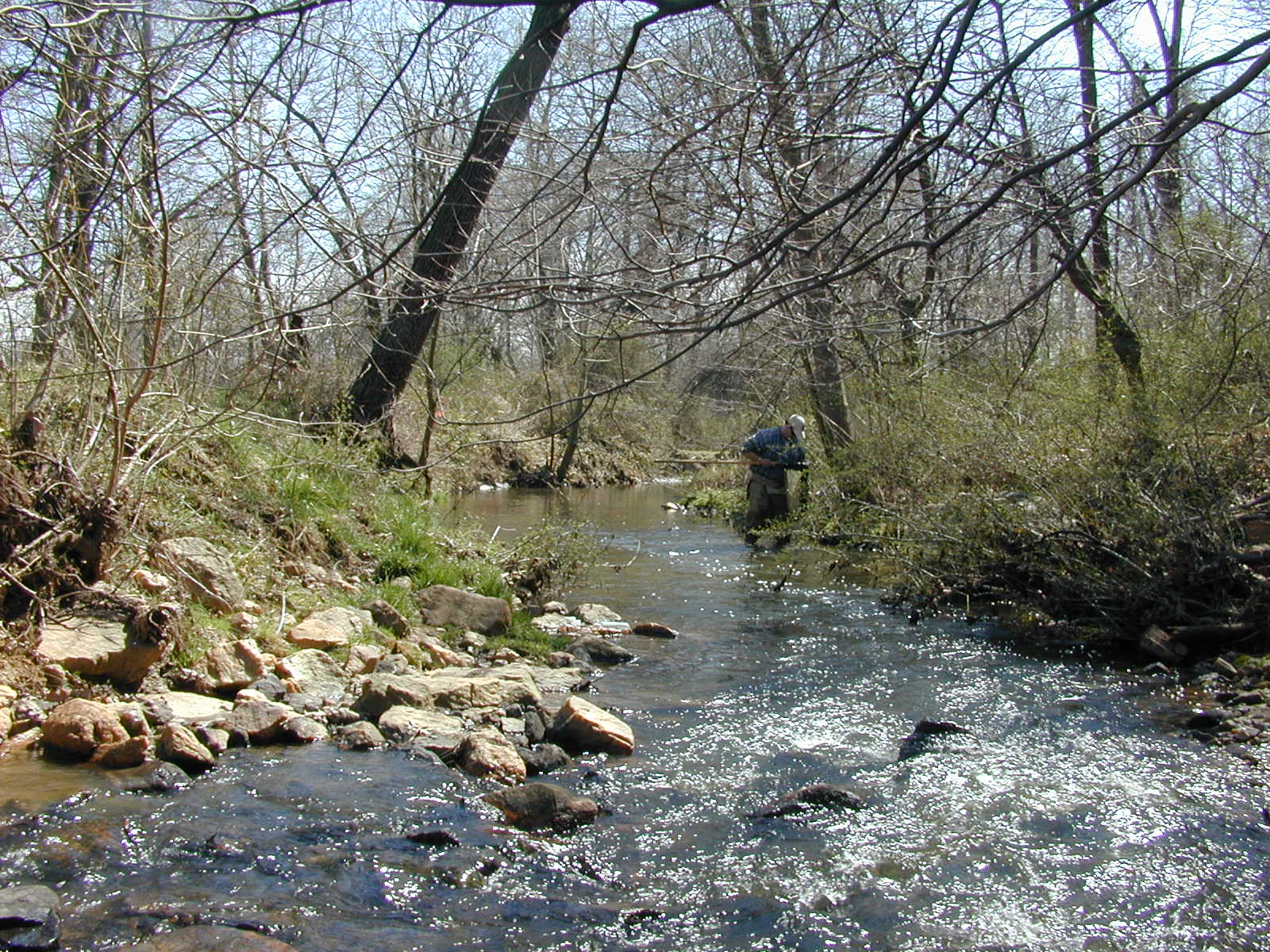 Field photo showing stream conditions at site MPAX-205-R-2002-2