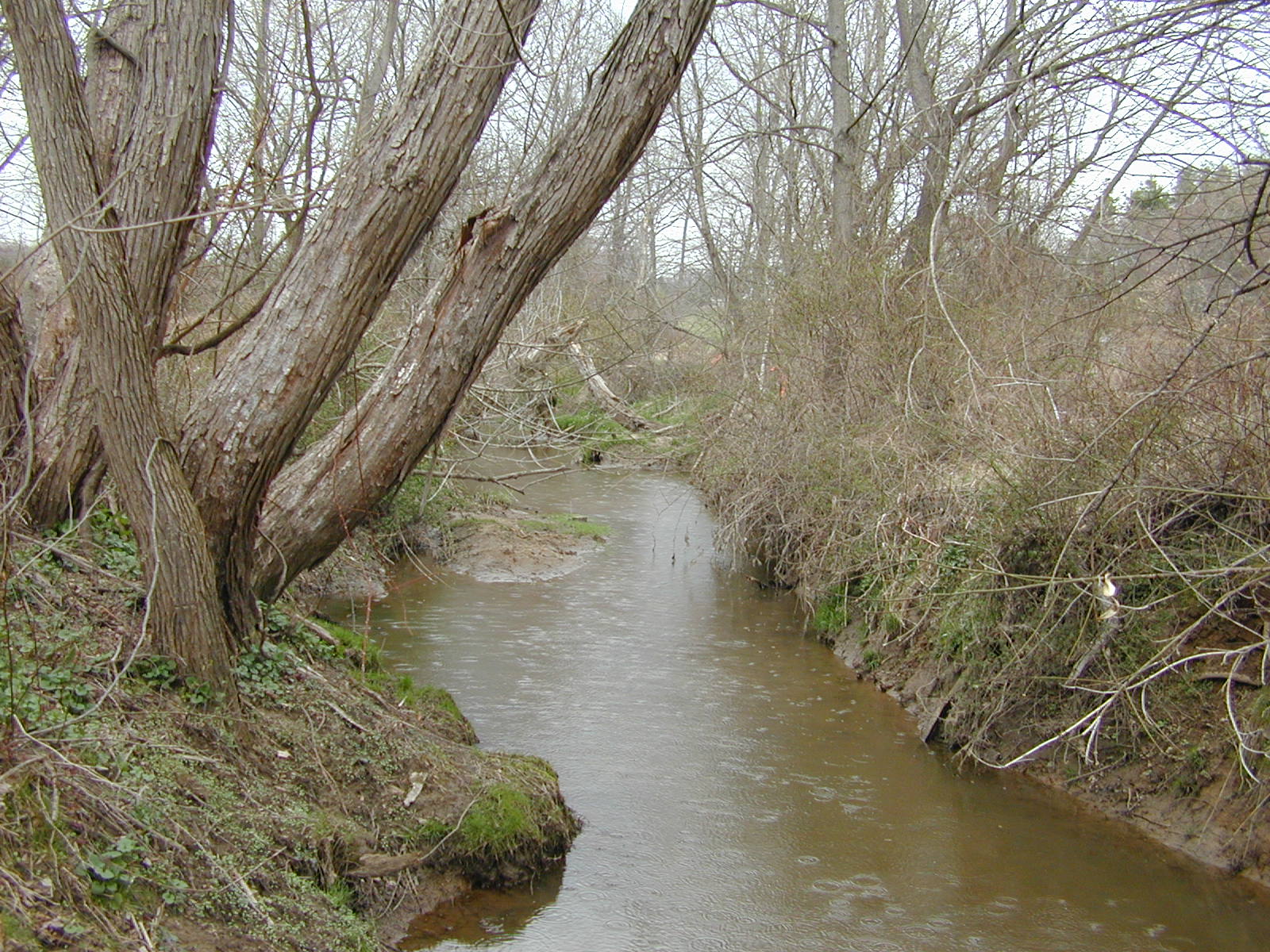 Field photo showing stream conditions at site MPAX-206-R-2002-1