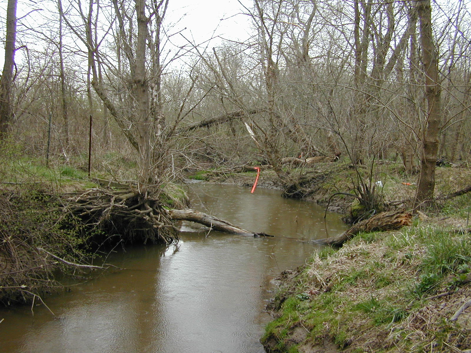 Field photo showing stream conditions at site MPAX-206-R-2002-2