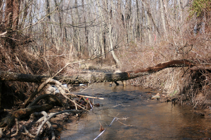 Field photo showing stream conditions at site MPAX-229-A-2011-1