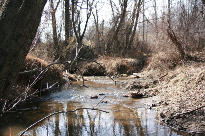 Field photo showing stream conditions at site MPAX-229-A-2011-2