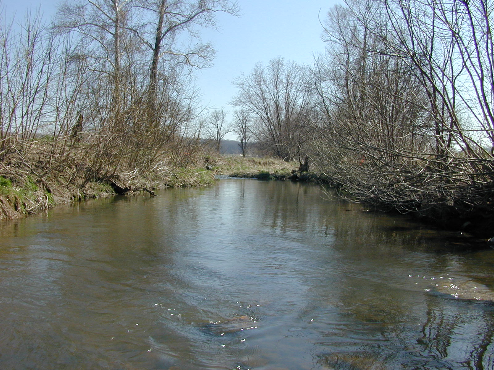 Field photo showing stream conditions at site MPAX-310-R-2002-1