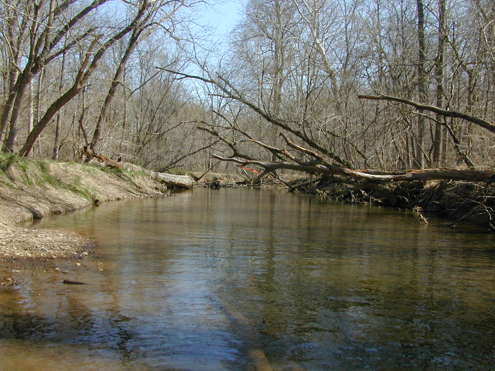 Field photo showing stream conditions at site MPAX-313-R-2002-1