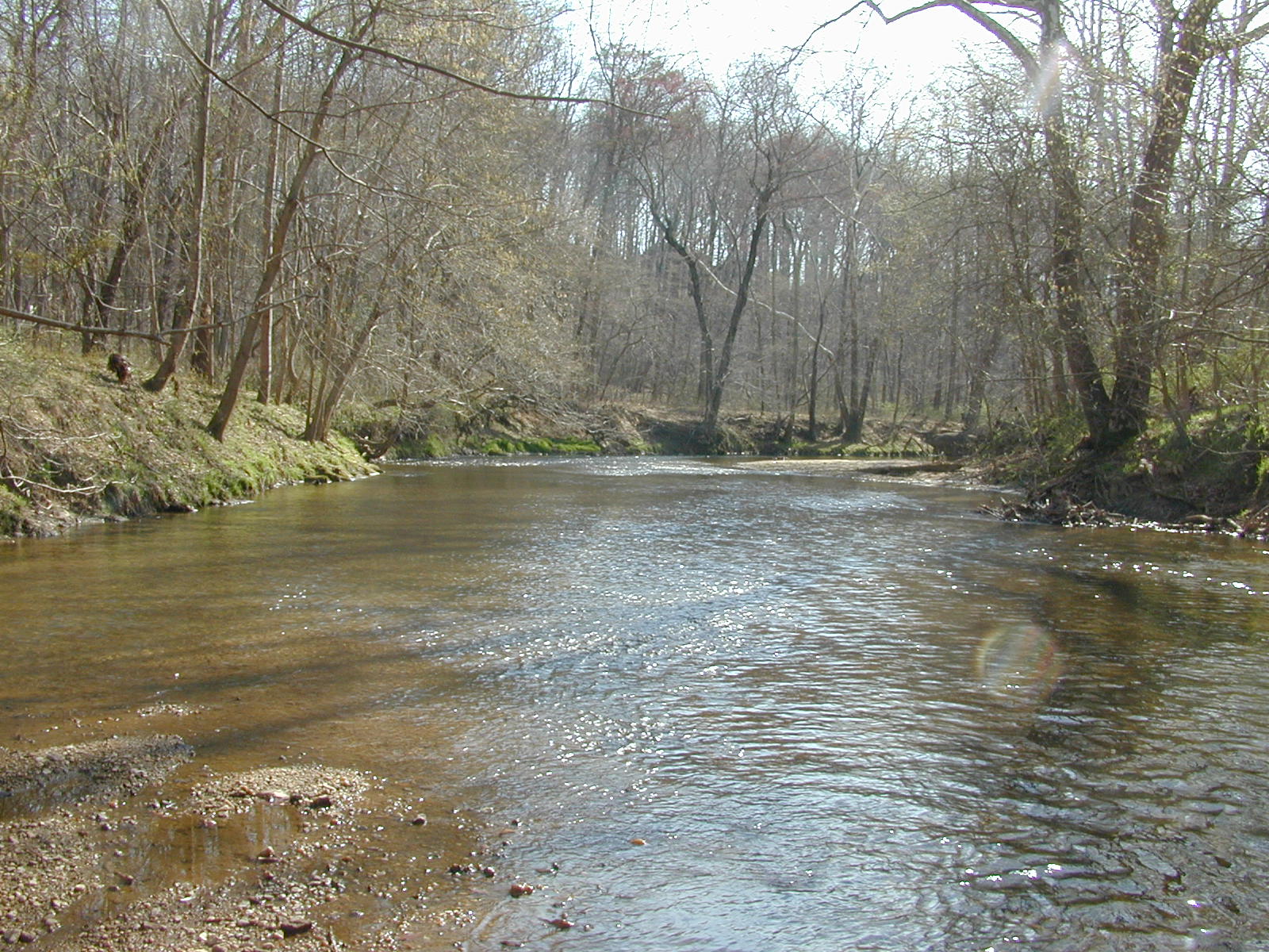 Field photo showing stream conditions at site MPAX-409-R-2002-2