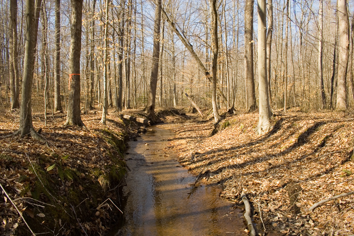 Field photo showing stream conditions at site NANJ-101-B-2008-1