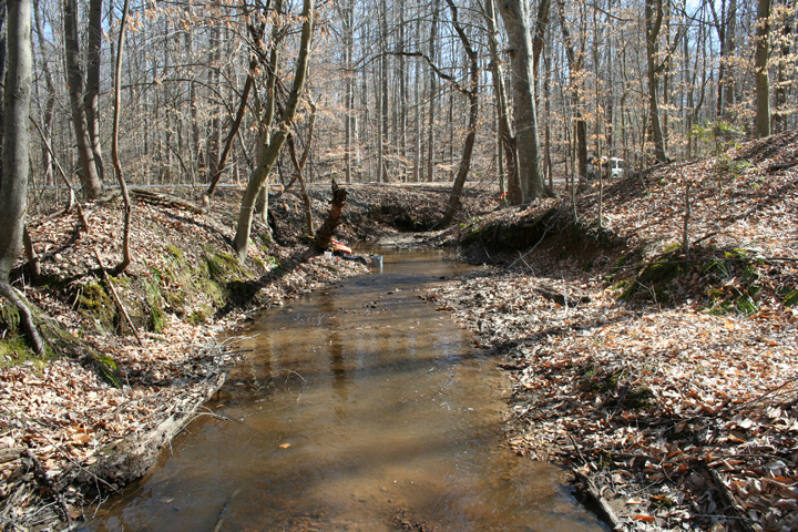 Field photo showing stream conditions at site NANJ-101-B-2008-2