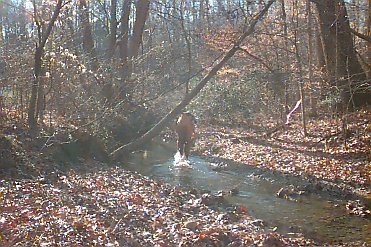 Field photo showing stream conditions at site NANJ-104-R-2000-02