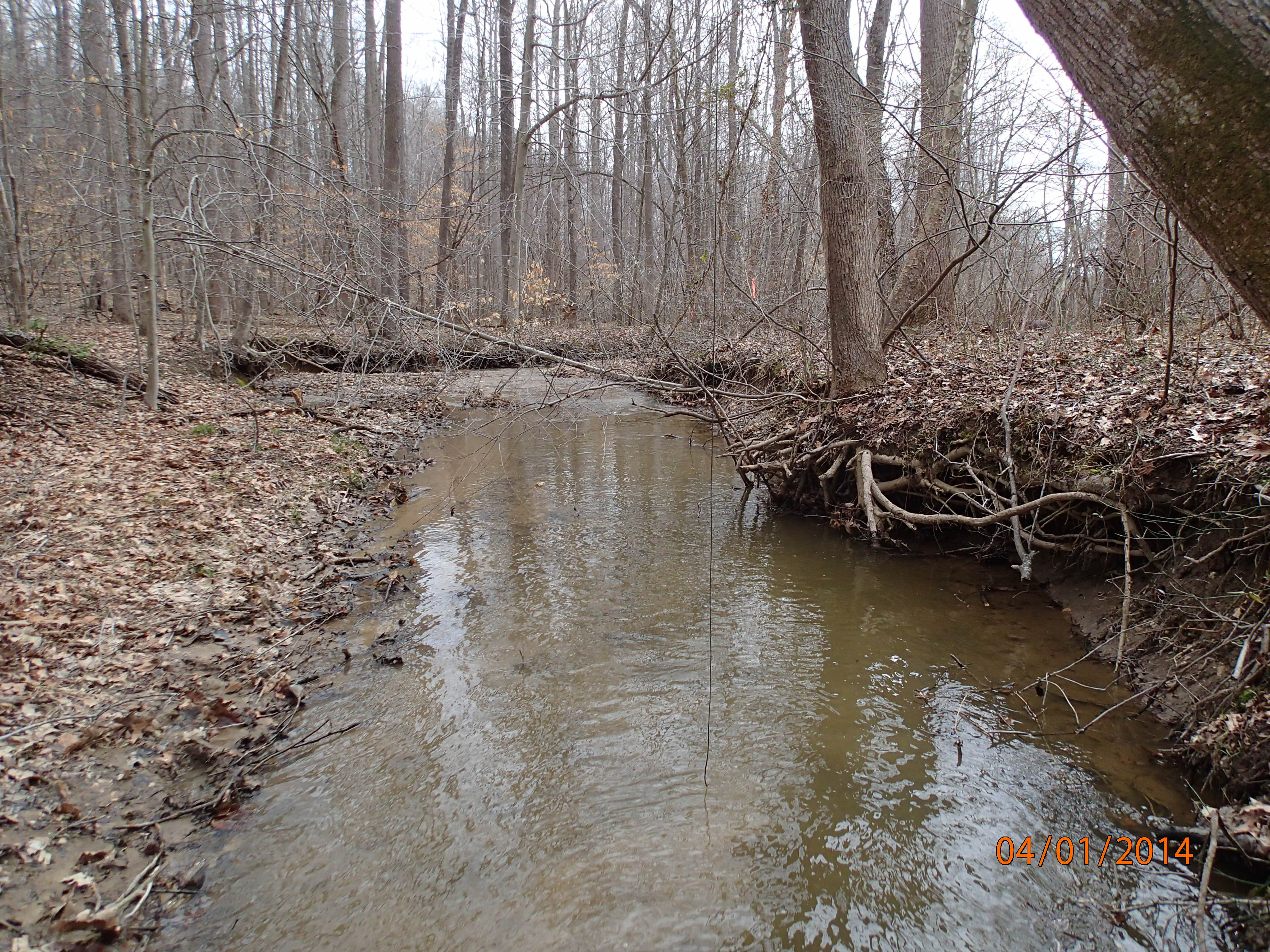 Field photo showing stream conditions at site NANJ-104-R-2014-MidpointDownstream